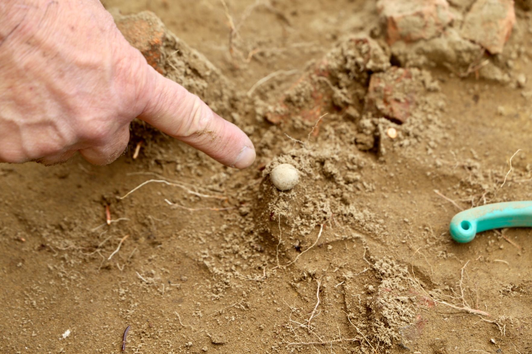 Rogers Island dig